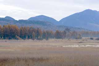 fotografia, materiale, libero il panorama, dipinga, fotografia di scorta,Mattina in Odashirogahara, Nebbia di mattina, Frusta bianca, erboso chiaramente, inumidisca chiaramente