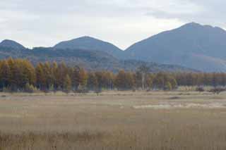 fotografia, materiale, libero il panorama, dipinga, fotografia di scorta,Mattina in Odashirogahara, Nebbia di mattina, Frusta bianca, erboso chiaramente, inumidisca chiaramente