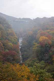 fotografia, materiale, libero il panorama, dipinga, fotografia di scorta,Cascata di foglie colorata, cascata, fiume, Nebbia, Foschia