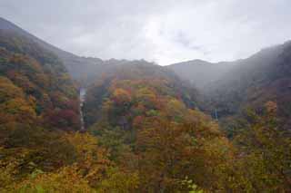 Foto, materieel, vrij, landschap, schilderstuk, bevoorraden foto,Kleurig loof waterfall en een wijsheid waterfall, Waterval, Rivier, Mist, Haze