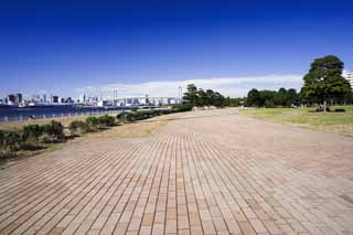 Foto, materieel, vrij, landschap, schilderstuk, bevoorraden foto,Een baksteen weg van de zee wind Park, Kuste lijn, Regenboog Brug, Grasveld, Blauwe lucht