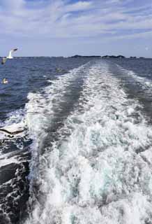 photo,material,free,landscape,picture,stock photo,Creative Commons,A trail, trail, bubble, gull, The sea