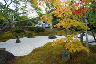 Foto, materiell, befreit, Landschaft, Bild, hat Foto auf Lager,Das Haus von enzyklopdischem Wissen von Matsushima, Steingarten, Stein, Ahorn, 