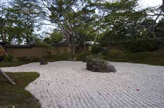 Foto, materiell, befreit, Landschaft, Bild, hat Foto auf Lager,Das Haus von enzyklopdischem Wissen von Matsushima, Steingarten, Stein, Ahorn, 