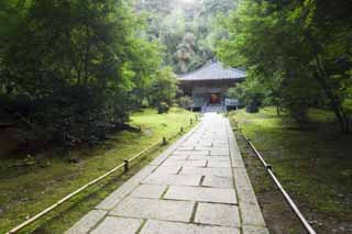 photo,material,free,landscape,picture,stock photo,Creative Commons,The House of encyclopedic knowledge of Matsushima, Buddhist temple and Shinto shrine, The main hall of Buddhist temple, way, stone pavement