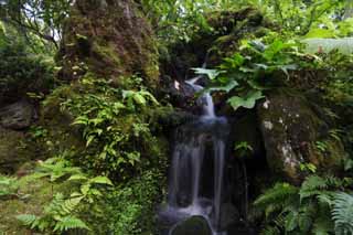 photo,material,free,landscape,picture,stock photo,Creative Commons,The House of encyclopedic knowledge of Matsushima, waterfall, Water, flow, rock