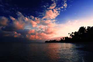 photo,material,free,landscape,picture,stock photo,Creative Commons,It is a beach at dark, sandy beach, Dusk, Lasi, madder plant cloud