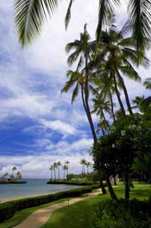 foto,tela,gratis,paisaje,fotografa,idea,Un centro vacacional hawaiano, Playa, Playa arenosa, Cielo azul, Lasi