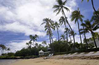 photo, la matire, libre, amnage, dcrivez, photo de la rserve,Une plage hawaenne, plage, plage sablonneuse, ciel bleu, Lasi