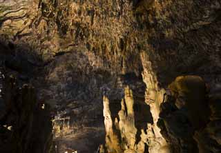 Foto, materieel, vrij, landschap, schilderstuk, bevoorraden foto,Ishigaki-jima Eiland stalactite grot, Kalkpegel grot, Kalkpegel, Kalksteen, Grot