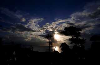 photo,material,free,landscape,picture,stock photo,Creative Commons,A southern country silhouette, palm tree, The setting sun, cloud, The sea