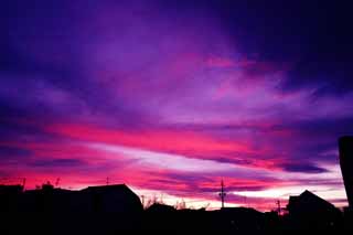 foto,tela,gratis,paisaje,fotografa,idea,Una nube de planta ms loca, Nube de Akane, Nube de planta ms loca, Nubes rosado - rosado, Silueta