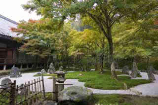 foto,tela,gratis,paisaje,fotografa,idea,Un jardn de un templo claro pertenecer al secta de Zen, Moss, Canasta de linterna de piedra, Roca, Permisos de color