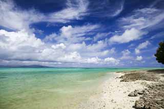 foto,tela,gratis,paisaje,fotografa,idea,Una playa de arena de una estrella, Nube, Playa, Cielo azul, Verde de esmeralda