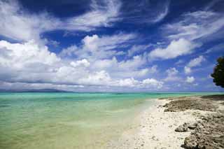 fotografia, materiale, libero il panorama, dipinga, fotografia di scorta,Una spiaggia di sabbia di una stella, nube, spiaggia, cielo blu, Verde di smeraldo