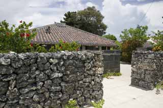 foto,tela,gratis,paisaje,fotografa,idea,Una casa de la pared de Ishigaki, Cimentacin con pilotes - piedras, Techo, Barra de arena, Flor