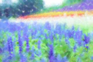 Illust, materieel, vrij, landschap, schilderstuk, schilderstuk, kleuren potlood, crayon, werkje,Een blauw sage, Blauwe wijze, , De wijze genus, Blauwige viooltje