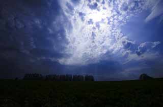 Foto, materieel, vrij, landschap, schilderstuk, bevoorraden foto,Ontsteken om te storten, Wolk, Maak lijn aan, Stem van de lucht, Rij van de bomen