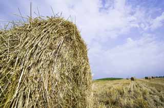 Foto, materiell, befreit, Landschaft, Bild, hat Foto auf Lager,Eine Grasrolle, Grasrolle, Stroh, , Futter