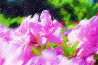 illustration,material,free,landscape,picture,painting,color pencil,crayon,drawing,A pink azalea, azalea, , , 