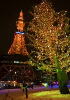 photo,material,free,landscape,picture,stock photo,Creative Commons,The night of a main street park, Illuminations, electric wave tower, park, light