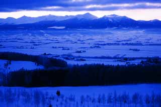 fotografia, materiale, libero il panorama, dipinga, fotografia di scorta,Il lo spuntar del giorno di Furano, campo nevoso, montagna, albero, campo