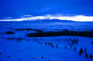 fotografia, materiale, libero il panorama, dipinga, fotografia di scorta,Il lo spuntar del giorno di Furano, campo nevoso, montagna, albero, campo