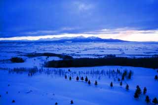 Foto, materiell, befreit, Landschaft, Bild, hat Foto auf Lager,Der Tagesanbruch von Furano, schneebedecktes Feld, Berg, Baum, Feld