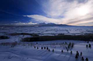 photo, la matire, libre, amnage, dcrivez, photo de la rserve,Matin de Furano, champ neigeux, montagne, arbre, champ