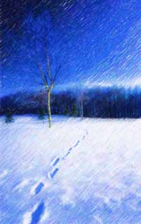 illust, material, livram, paisagem, quadro, pintura, lpis de cor, creiom, puxando,Para o outro lado de um campo nevado, cu azul, pegada, campo nevado, Est nevado