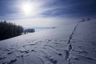 Foto, materiell, befreit, Landschaft, Bild, hat Foto auf Lager,Zur anderen Seite eines schneebedeckten Feldes, blauer Himmel, Fuabdruck, schneebedecktes Feld, Es ist schneebedeckt