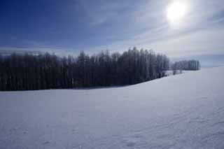 photo,material,free,landscape,picture,stock photo,Creative Commons,A snowy field, blue sky, It is snowy, snowy field, The sun