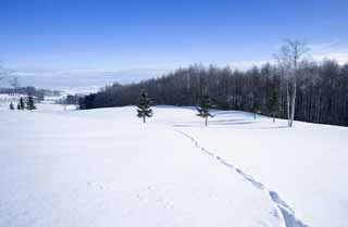 Foto, materiell, befreit, Landschaft, Bild, hat Foto auf Lager,Zur anderen Seite eines schneebedeckten Feldes, blauer Himmel, Fuabdruck, schneebedecktes Feld, Es ist schneebedeckt