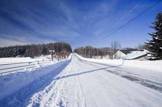 fotografia, material, livra, ajardine, imagine, proveja fotografia,Uma estrada coberto de neve linha direta, Estradas frias, cu azul, campo nevado, Est nevado