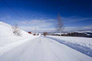 Foto, materieel, vrij, landschap, schilderstuk, bevoorraden foto,Een sneeuw-overdekte straat rechte, Ijzige wegen, Blauwe lucht, Besneeuwd veld, Het is besneeuwd