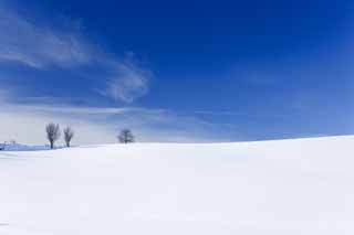 photo,material,free,landscape,picture,stock photo,Creative Commons,A snowy field, snowy field, mountain, tree, blue sky