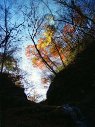 photo,material,free,landscape,picture,stock photo,Creative Commons,Silent valley in autumn, autumn leaves, blue sky, , 