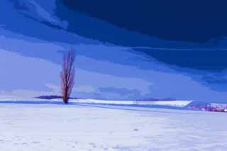 Illust, materieel, vrij, landschap, schilderstuk, schilderstuk, kleuren potlood, crayon, werkje,Een snowy veld, Besneeuwd veld, Berg, Boom, Blauwe lucht