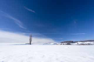 photo,material,free,landscape,picture,stock photo,Creative Commons,A snowy field, snowy field, mountain, tree, blue sky