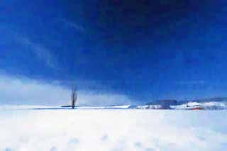 Illust, materieel, vrij, landschap, schilderstuk, schilderstuk, kleuren potlood, crayon, werkje,Een snowy veld, Besneeuwd veld, Berg, Boom, Blauwe lucht