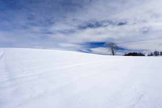 Foto, materieel, vrij, landschap, schilderstuk, bevoorraden foto,Een snowy veld, Besneeuwd veld, Berg, Boom, Blauwe lucht