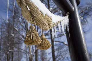 Foto, materiell, befreit, Landschaft, Bild, hat Foto auf Lager,Ist empfindungslos || nehmen Sie es ein und ist ein Seil, Eiszapfen, Schintoistische Strohgirlande, Es ist schneebedeckt, torii