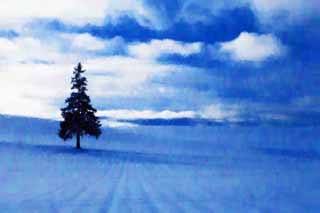 illustration,material,free,landscape,picture,painting,color pencil,crayon,drawing,A snowy field of a Christmas tree, snowy field, cloud, tree, blue sky