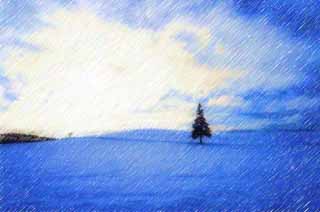 illust, matire, libre, paysage, image, le tableau, crayon de la couleur, colorie, en tirant,Un champ neigeux d'un sapin de Nol, champ neigeux, nuage, arbre, ciel bleu