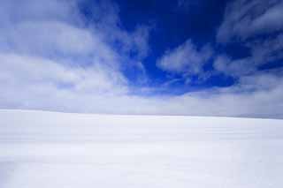 photo, la matire, libre, amnage, dcrivez, photo de la rserve,Un champ neigeux et un ciel bleu, champ neigeux, nuage, arbre, ciel bleu