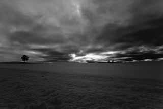 Foto, materiell, befreit, Landschaft, Bild, hat Foto auf Lager,Es ist eine Wolke in einem schneebedeckten Feld, schneebedecktes Feld, Wolke, Baum, Baum von Elternteil und Kind