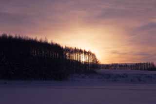 Foto, materiell, befreit, Landschaft, Bild, hat Foto auf Lager,Dmmerung eines schneebedeckten Feldes, schneebedecktes Feld, Wolke, Baum, Die Sonne