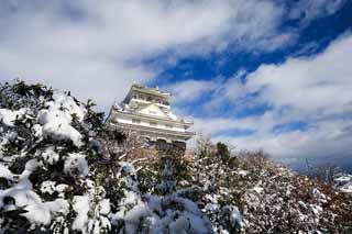 photo, la matire, libre, amnage, dcrivez, photo de la rserve,Chteau Gifu, Ishigaki, ciel bleu, chteau, Blanc