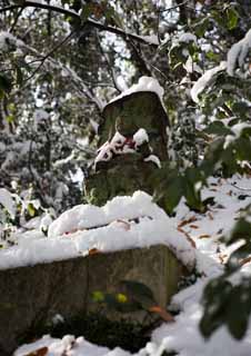 photo,material,free,landscape,picture,stock photo,Creative Commons,It is snowy to a guardian deity of children, stone statue, snowy field, Moss is raw, 
