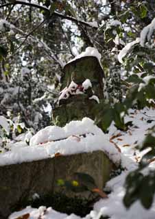 photo, la matire, libre, amnage, dcrivez, photo de la rserve,C'est neigeux  une divinit gardienne d'enfants, statue de pierre, champ neigeux, La mousse est crue, 